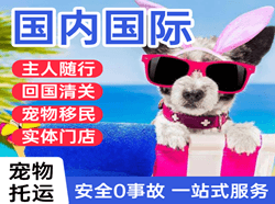 东河机场快运国际宠物托运 【国